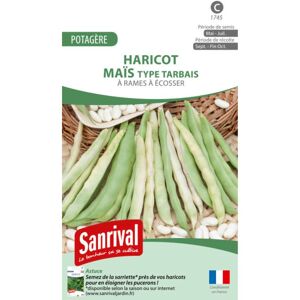 Sanrival Haricot à rames Maïs (Tarbais à Ecosser) - Publicité Sanrival Haricot à rames Maïs (Tarbais à Ecosser) - Publicité