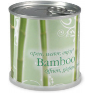 Mac Flower's Bambou Prêt à pousser en canette - Publicité Mac Flower's Bambou Prêt à pousser en canette - Publicité