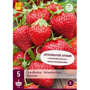 Jub 5 racines de Fraisiers Korona Rouge - Publicité Jub 5 racines de Fraisiers Korona Rouge - Publicité
