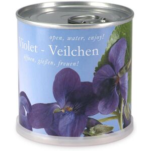 Mac Flower's Violettes à faire pousser en boite - Publicité Mac Flower's Violettes à faire pousser en boite - Publicité