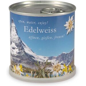 Mac Flower's Edelweiss à faire pousser en boite - Publicité Mac Flower's Edelweiss à faire pousser en boite - Publicité