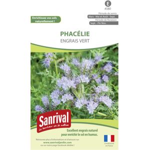 Sanrival Graines Phacélie Engrais Vert - Publicité Sanrival Graines Phacélie Engrais Vert - Publicité