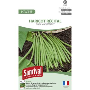 Sanrival Graines Haricot Nain mangetout Casdantel - Publicité Sanrival Graines Haricot Nain mangetout Casdantel - Publicité