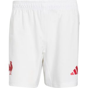Short Replica Domicile XV de France Adidas 2025/2026 XXXL male - Publicité Short Replica Domicile XV de France Adidas 2025/2026 XXXL male - Publicité