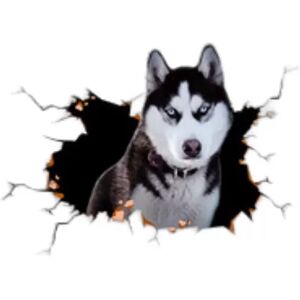 INF Autocollants 3D Créatifs pour Voiture Husky - Grand Format (Lot de 2) - Décorez et Protégez Votre Véhicule - Publicité INF Autocollants 3D Créatifs pour Voiture Husky - Grand Format (Lot de 2) - Décorez et Protégez Votre Véhicule - Publicité