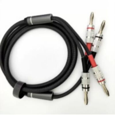INF Câble haut-parleur 3m pour amplificateur Hi‑Fi - Cuivre monocristallin plaqué argent, double blindage, gaine TPE 1,2 m - Publicité INF Câble haut-parleur 3m pour amplificateur Hi‑Fi - Cuivre monocristallin plaqué argent, double blindage, gaine TPE 1,2 m - Publicité