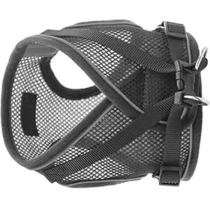 INF Harnais Confortable Noir pour Animaux de Compagnie XS - Publicité INF Harnais Confortable Noir pour Animaux de Compagnie XS - Publicité