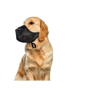INF Muselière Anti-Ingestion pour Chien : Protection et Entraînement en Maille Aérée XL - Publicité INF Muselière Anti-Ingestion pour Chien : Protection et Entraînement en Maille Aérée XL - Publicité