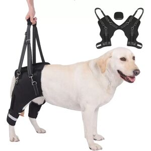 INF Harnais de soutien pour pattes arrière de chien - Aide à la mobilité pour animaux âgés et blessés L - Publicité INF Harnais de soutien pour pattes arrière de chien - Aide à la mobilité pour animaux âgés et blessés L - Publicité