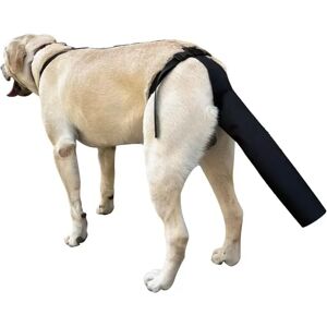 INF Protection Ajustable pour Queue de Chien - Soin des Plaies, Anti-Morsure & Prévention de la Perte de Poils Petit - Publicité INF Protection Ajustable pour Queue de Chien - Soin des Plaies, Anti-Morsure & Prévention de la Perte de Poils Petit - Publicité