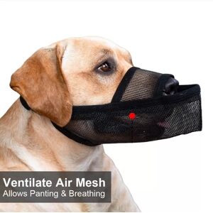 INF Muselière Respirante en Maille pour Chien - Anti-Morsure, Anti-Léchage, Protection Court Museau S - Publicité INF Muselière Respirante en Maille pour Chien - Anti-Morsure, Anti-Léchage, Protection Court Museau S - Publicité