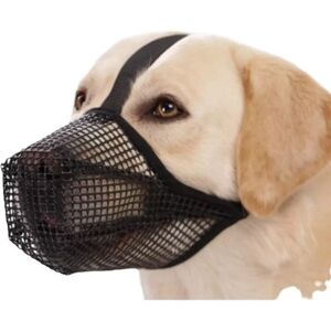 INF Muselière Ajustable en Nylon pour Chien : Anti-Morsure, Léchage & Respirante L - Publicité INF Muselière Ajustable en Nylon pour Chien : Anti-Morsure, Léchage & Respirante L - Publicité