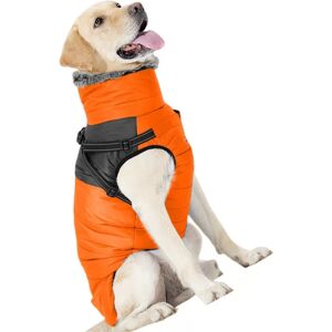 INF Manteau d'hiver orange pour chien avec gilet en polaire - Vêtement d'extérieur chaud et coupe-vent L - Publicité INF Manteau d'hiver orange pour chien avec gilet en polaire - Vêtement d'extérieur chaud et coupe-vent L - Publicité
