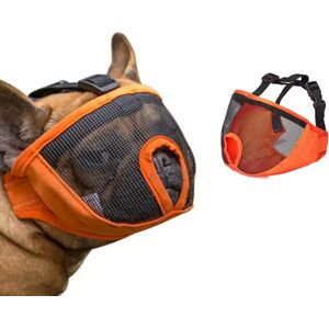 INF Muselière Ouverte pour Bouledogue : Masque Anti-Morsure Respirant pour Chiens à Nez Court L Orange - Publicité INF Muselière Ouverte pour Bouledogue : Masque Anti-Morsure Respirant pour Chiens à Nez Court L Orange - Publicité