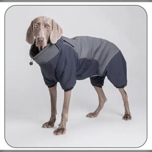 INF Manteau Imperméable pour Chien à Quatre Pattes - Veste d'Hiver Chaude Intégrale pour Grands Chiens XL - Publicité INF Manteau Imperméable pour Chien à Quatre Pattes - Veste d'Hiver Chaude Intégrale pour Grands Chiens XL - Publicité