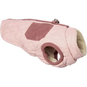 INF Manteau Matelassé pour Chien - Vêtement Chaud d'Hiver avec Fermeture Éclair et Bords Côtes XL - Publicité INF Manteau Matelassé pour Chien - Vêtement Chaud d'Hiver avec Fermeture Éclair et Bords Côtes XL - Publicité