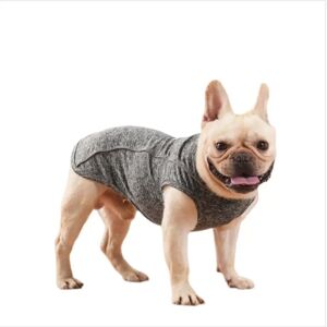 INF Gilet réfléchissant phosphorescent en polyester pour chien avec anneau en D et trou pour laisse – Manteau de sécurité sans L - Publicité INF Gilet réfléchissant phosphorescent en polyester pour chien avec anneau en D et trou pour laisse – Manteau de sécurité sans L - Publicité