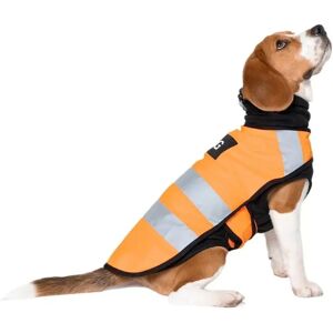 INF Reflective Pet Safety Vest - High-Visibility Polyester Dog & Cat Vest, Anti-Loss, Four-Season XL Orange - Publicité INF Reflective Pet Safety Vest - High-Visibility Polyester Dog & Cat Vest, Anti-Loss, Four-Season XL Orange - Publicité