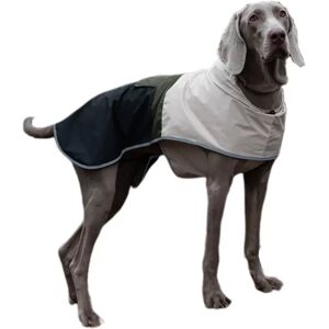 INF Manteau Imperméable et Coupe-Vent pour Grand Chien - Veste Pluie Printemps M - Publicité INF Manteau Imperméable et Coupe-Vent pour Grand Chien - Veste Pluie Printemps M - Publicité