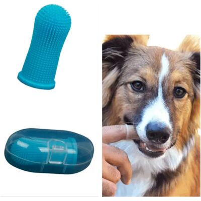 INF Brosse à dents pour animaux de compagnie, brosse à poils en silicone Bleu - Publicité INF Brosse à dents pour animaux de compagnie, brosse à poils en silicone Bleu - Publicité
