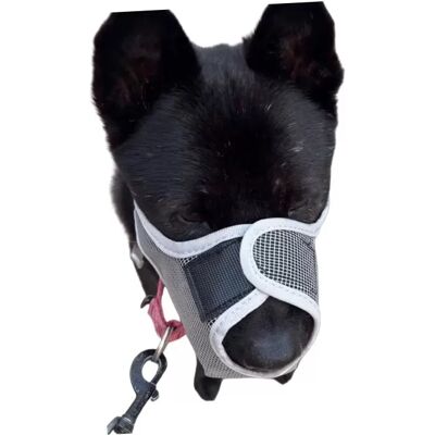 INF Muselière Anti-Ingestion : Muselière Respirante en Maille pour Chien, pour Sécurité et Éducation S - Publicité INF Muselière Anti-Ingestion : Muselière Respirante en Maille pour Chien, pour Sécurité et Éducation S - Publicité