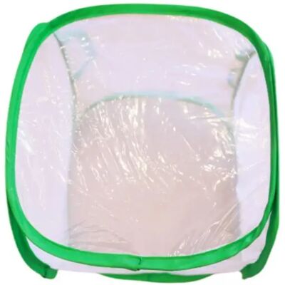 INF Cage à insectes pliable – Filet en polyester portable pour élevage de papillons et boîte de culture transparente, tailles 60 cm - Publicité INF Cage à insectes pliable – Filet en polyester portable pour élevage de papillons et boîte de culture transparente, tailles 60 cm - Publicité