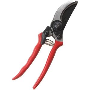 INF Sécateur en acier SK5 - Sécateur professionnel pour jardin et arbres fruitiers, 20cm, rouge - Publicité INF Sécateur en acier SK5 - Sécateur professionnel pour jardin et arbres fruitiers, 20cm, rouge - Publicité
