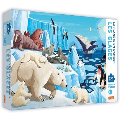 Sassi La Planète En Danger - Les Glaces - Publicité Sassi La Planète En Danger - Les Glaces - Publicité