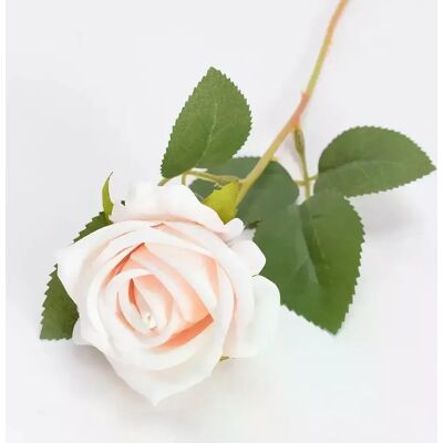 General Bouquet de Fleurs Artificielles, Rose Blanche et Rouge, Feuilles d'Eucalyptus, Décoration de Mariage, Pivoine, Fausse Fleur pour ix, Décoration de Maison, Cadeau, 1 Pièce~0211 - Publicité General Bouquet de Fleurs Artificielles, Rose Blanche et Rouge, Feuilles d'Eucalyptus, Décoration de Mariage, Pivoine, Fausse Fleur pour ix, Décoration de Maison, Cadeau, 1 Pièce~0211 - Publicité