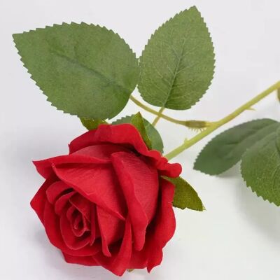 General Bouquet de Fleurs Artificielles, Rose Blanche et Rouge, Feuilles d'Eucalyptus, Décoration de Mariage, Pivoine, Fausse Fleur pour ix, Décoration de Maison, Cadeau, 1 Pièce~0202 - Publicité General Bouquet de Fleurs Artificielles, Rose Blanche et Rouge, Feuilles d'Eucalyptus, Décoration de Mariage, Pivoine, Fausse Fleur pour ix, Décoration de Maison, Cadeau, 1 Pièce~0202 - Publicité