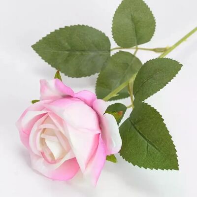 General Bouquet de Fleurs Artificielles, Rose Blanche et Rouge, Feuilles d'Eucalyptus, Décoration de Mariage, Pivoine, Fausse Fleur pour ix, Décoration de Maison, Cadeau, 1 Pièce~0206 - Publicité General Bouquet de Fleurs Artificielles, Rose Blanche et Rouge, Feuilles d'Eucalyptus, Décoration de Mariage, Pivoine, Fausse Fleur pour ix, Décoration de Maison, Cadeau, 1 Pièce~0206 - Publicité