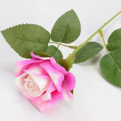 General Bouquet de Fleurs Artificielles, Rose Blanche et Rouge, Feuilles d'Eucalyptus, Décoration de Mariage, Pivoine, Fausse Fleur pour ix, Décoration de Maison, Cadeau, 1 Pièce~0212 - Publicité General Bouquet de Fleurs Artificielles, Rose Blanche et Rouge, Feuilles d'Eucalyptus, Décoration de Mariage, Pivoine, Fausse Fleur pour ix, Décoration de Maison, Cadeau, 1 Pièce~0212 - Publicité