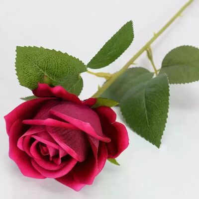 General Bouquet de Fleurs Artificielles, Rose Blanche et Rouge, Feuilles d'Eucalyptus, Décoration de Mariage, Pivoine, Fausse Fleur pour ix, Décoration de Maison, Cadeau, 1 Pièce~0204 - Publicité General Bouquet de Fleurs Artificielles, Rose Blanche et Rouge, Feuilles d'Eucalyptus, Décoration de Mariage, Pivoine, Fausse Fleur pour ix, Décoration de Maison, Cadeau, 1 Pièce~0204 - Publicité
