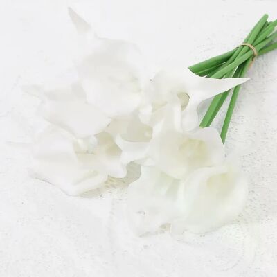 General Fleurs artificielles de lys Calla au toucher réel,5 pièces, Bouquet de mariage blanc, fête prénuptiale, décoration florale de maison, fausses fleurs~0573 - Publicité General Fleurs artificielles de lys Calla au toucher réel,5 pièces, Bouquet de mariage blanc, fête prénuptiale, décoration florale de maison, fausses fleurs~0573 - Publicité
