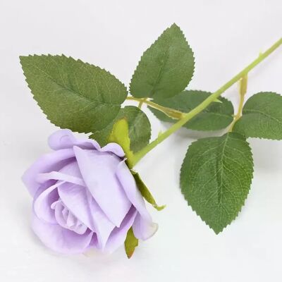 General Bouquet de Fleurs Artificielles, Rose Blanche et Rouge, Feuilles d'Eucalyptus, Décoration de Mariage, Pivoine, Fausse Fleur pour ix, Décoration de Maison, Cadeau, 1 Pièce~0207 - Publicité General Bouquet de Fleurs Artificielles, Rose Blanche et Rouge, Feuilles d'Eucalyptus, Décoration de Mariage, Pivoine, Fausse Fleur pour ix, Décoration de Maison, Cadeau, 1 Pièce~0207 - Publicité
