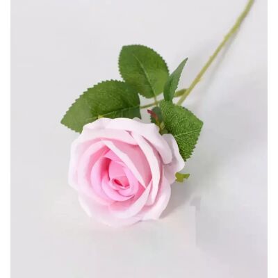 General Bouquet de Fleurs Artificielles, Rose Blanche et Rouge, Feuilles d'Eucalyptus, Décoration de Mariage, Pivoine, Fausse Fleur pour ix, Décoration de Maison, Cadeau, 1 Pièce~0215 - Publicité General Bouquet de Fleurs Artificielles, Rose Blanche et Rouge, Feuilles d'Eucalyptus, Décoration de Mariage, Pivoine, Fausse Fleur pour ix, Décoration de Maison, Cadeau, 1 Pièce~0215 - Publicité