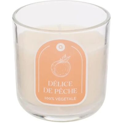 Bougie Parfumée Atmosphera Flea - Parfum Ambre - 115g - Publicité Bougie Parfumée Atmosphera Flea - Parfum Ambre - 115g - Publicité