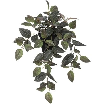 ATMOSPHERA Plante Artificielle en Pot Tradescantia 45cm Noir - Publicité ATMOSPHERA Plante Artificielle en Pot Tradescantia 45cm Noir - Publicité