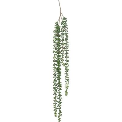 ATMOSPHERA Plante Tombante Déco Séneçon 37cm Vert - Publicité ATMOSPHERA Plante Tombante Déco Séneçon 37cm Vert - Publicité