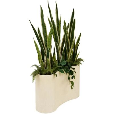 ATMOSPHERA Sansevieria Artificielle en Pot Sky 163m Vert & Beige - Publicité ATMOSPHERA Sansevieria Artificielle en Pot Sky 163m Vert & Beige - Publicité