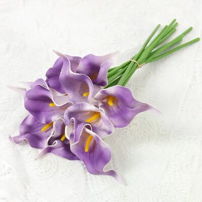 General Fleurs artificielles de lys Calla au toucher réel,5 pièces, Bouquet de mariage blanc, fête prénuptiale, décoration florale de maison, fausses fleurs~0578 - Publicité General Fleurs artificielles de lys Calla au toucher réel,5 pièces, Bouquet de mariage blanc, fête prénuptiale, décoration florale de maison, fausses fleurs~0578 - Publicité
