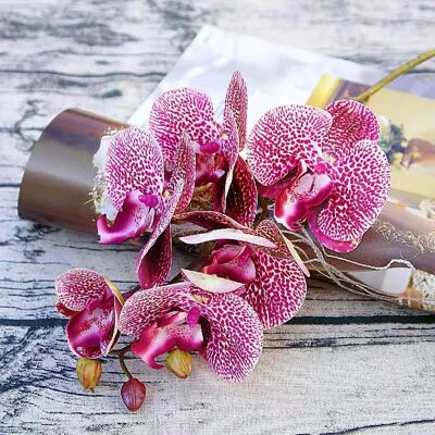 General 3D Fleurs Artificielles En Plastique Papillon Orchidée Maison Vase Décor De Fête Mariage Jardin En Plein Air Mariée Bouquet BRICOLAGE Guirlande Cadeau Boîtes~1166 - Publicité General 3D Fleurs Artificielles En Plastique Papillon Orchidée Maison Vase Décor De Fête Mariage Jardin En Plein Air Mariée Bouquet BRICOLAGE Guirlande Cadeau Boîtes~1166 - Publicité