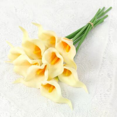 General Fleurs artificielles de lys Calla au toucher réel,5 pièces, Bouquet de mariage blanc, fête prénuptiale, décoration florale de maison, fausses fleurs~0574 - Publicité General Fleurs artificielles de lys Calla au toucher réel,5 pièces, Bouquet de mariage blanc, fête prénuptiale, décoration florale de maison, fausses fleurs~0574 - Publicité