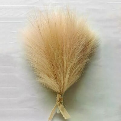 General 10pc 14in Pampas herbe fleurs artificielles fausse roseau plume fausse fleur bricolage accessoires Boho maison chambre mariage décoration florale~0712 - Publicité General 10pc 14in Pampas herbe fleurs artificielles fausse roseau plume fausse fleur bricolage accessoires Boho maison chambre mariage décoration florale~0712 - Publicité