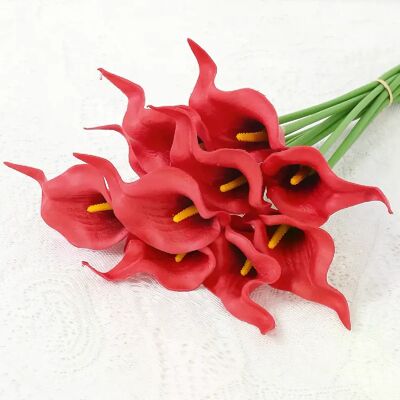 General Fleurs artificielles de lys Calla au toucher réel,5 pièces, Bouquet de mariage blanc, fête prénuptiale, décoration florale de maison, fausses fleurs~0577 - Publicité General Fleurs artificielles de lys Calla au toucher réel,5 pièces, Bouquet de mariage blanc, fête prénuptiale, décoration florale de maison, fausses fleurs~0577 - Publicité