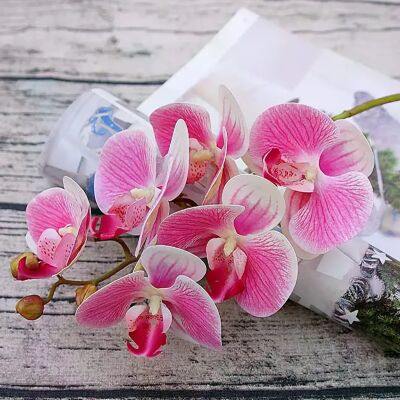 General 3D Fleurs Artificielles En Plastique Papillon Orchidée Maison Vase Décor De Fête Mariage Jardin En Plein Air Mariée Bouquet BRICOLAGE Guirlande Cadeau Boîtes~1168 - Publicité General 3D Fleurs Artificielles En Plastique Papillon Orchidée Maison Vase Décor De Fête Mariage Jardin En Plein Air Mariée Bouquet BRICOLAGE Guirlande Cadeau Boîtes~1168 - Publicité