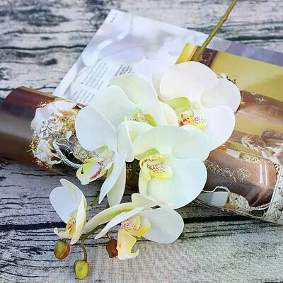 General 3D Fleurs Artificielles En Plastique Papillon Orchidée Maison Vase Décor De Fête Mariage Jardin En Plein Air Mariée Bouquet BRICOLAGE Guirlande Cadeau Boîtes~1165 - Publicité General 3D Fleurs Artificielles En Plastique Papillon Orchidée Maison Vase Décor De Fête Mariage Jardin En Plein Air Mariée Bouquet BRICOLAGE Guirlande Cadeau Boîtes~1165 - Publicité