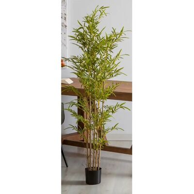 Alexandra House Living Plante de bambou, 165 cm. Publicité Alexandra House Living Plante de bambou, 165 cm. Publicité