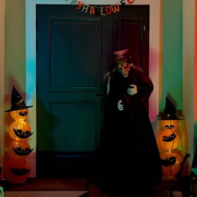 vidaXL Sorcière parlante d'Halloween Violet 216 x 125 cm Polyester - Publicité vidaXL Sorcière parlante d'Halloween Violet 216 x 125 cm Polyester - Publicité