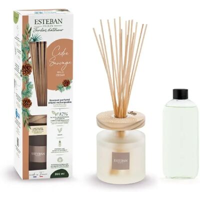 Esteban Bouquet parfumé Ellipse Cèdre sauvage 200 ml - Publicité Esteban Bouquet parfumé Ellipse Cèdre sauvage 200 ml - Publicité